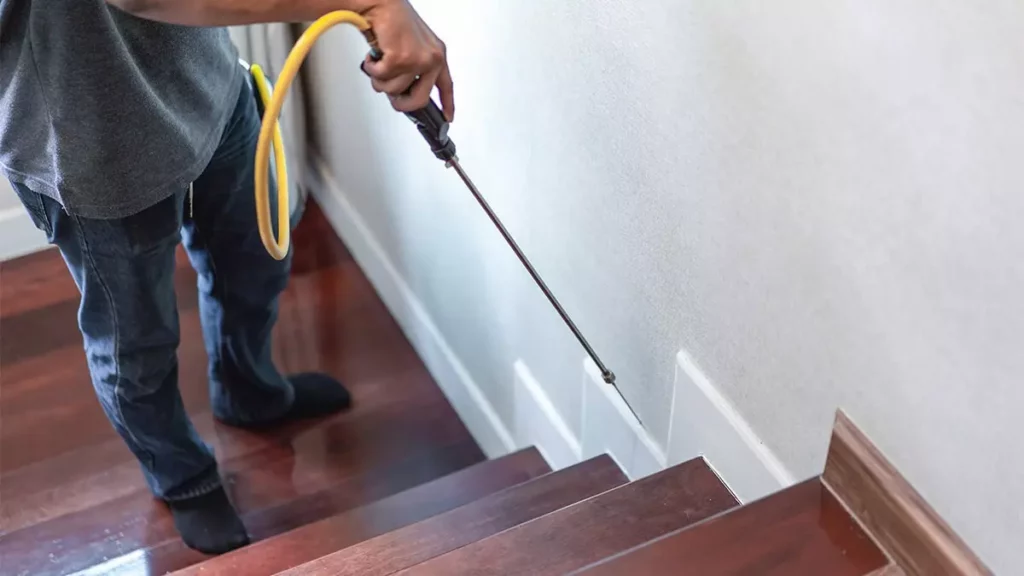 Termite Inspection Sydney Checklist: What Inspectors Look For