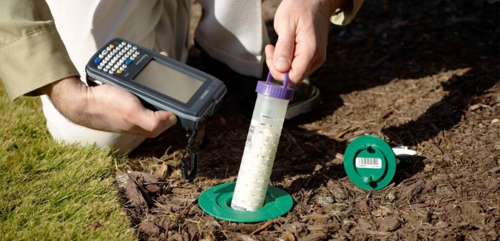 termite control services